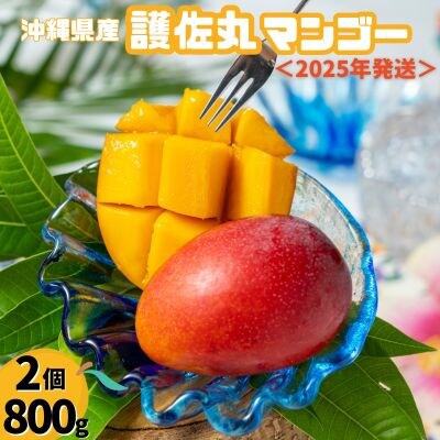 ≪2025年発送≫ 護佐丸マンゴー　2個入り(約800g)