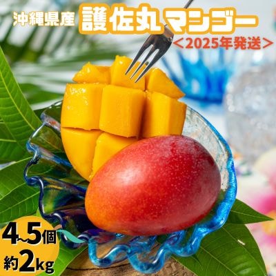 ≪2025年発送≫ 護佐丸マンゴー　4～5個入り(約2kg)