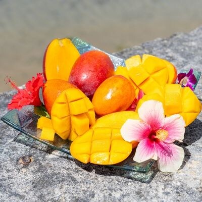 ≪2025年発送≫ 護佐丸マンゴー　4～5個入り(約2kg)
