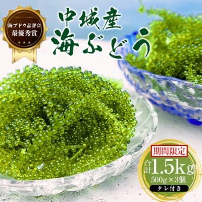 【2025年4月中旬以降発送予定】海ぶどう(500g×3個セット)タレ付き　中城村産海ぶどう