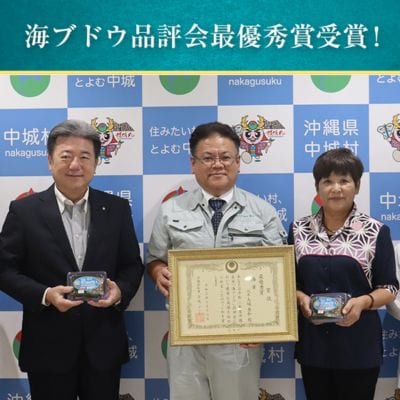 【2025年4月中旬以降発送予定】海ぶどう(500g×3個セット)タレ付き　中城村産海ぶどう