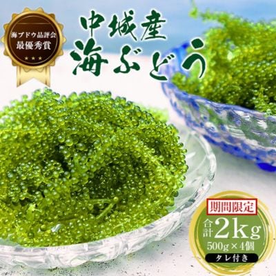 【2025年4月中旬以降発送予定】海ぶどう(500g×4個セット)タレ付き　中城村産海ぶどう