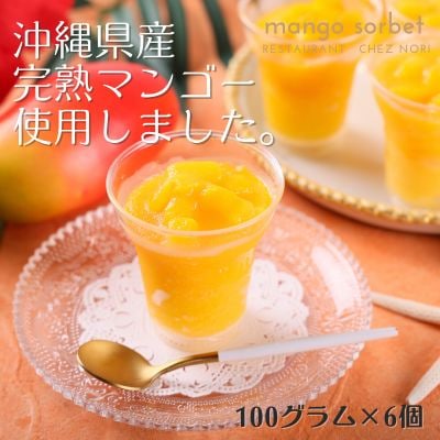 沖縄県産完熟マンゴーソルベ