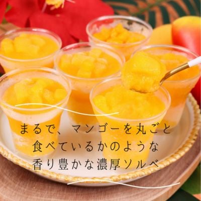 沖縄県産完熟マンゴーソルベ