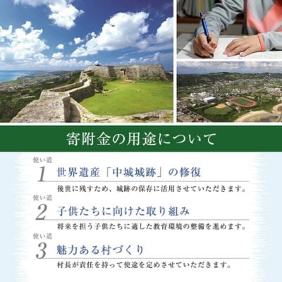 中立シーサー(ちゅうたちしーさー)