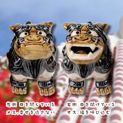 おかえりなさいシーサー