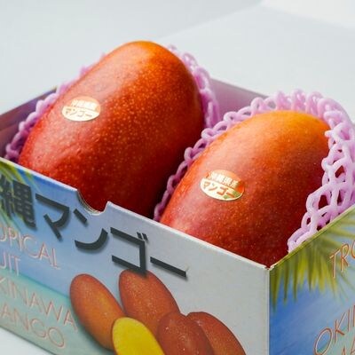 ≪2025年発送≫ 頑固おやじのこだわりマンゴー　優品 2個入り(約800g)