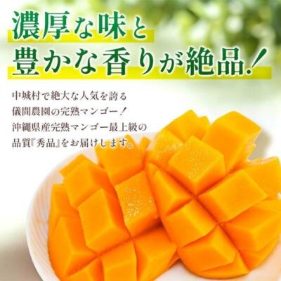 ≪2025年発送≫厳選大玉!儀間農園の完熟マンゴー　秀品4kg