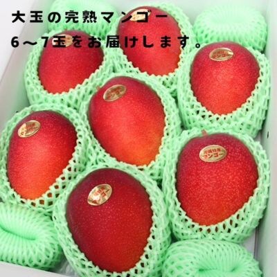 ≪2025年発送≫厳選大玉!儀間農園の完熟マンゴー　秀品4kg