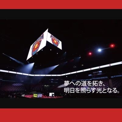 琉球アスティーダ　ハンディファン