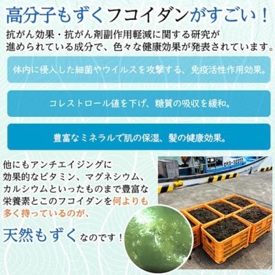 天然もずく 塩蔵(500g×3P)沖縄県中城村産