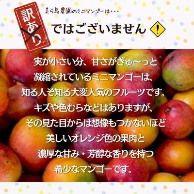 完熟沖縄ミニマンゴーご家庭用約1kg(10～20個入)