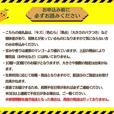 完熟沖縄ミニマンゴーご家庭用約1kg(10～20個入)