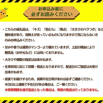 【2025年発送】中城果樹園ミニマンゴー秀品 約2kg(15～30個入)