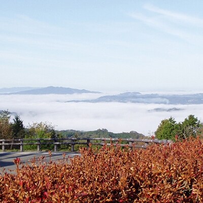 赤磐市 吉井竜天オートキャンプ場 コテージ利用券 定員5名 No5765 0260 お礼品詳細 ふるさと納税なら さとふる 赤磐市 吉井竜天オートキャンプ場 コテージ利用券 定員5名 No5765 0260 お礼品詳細 ふるさと納税なら さとふる