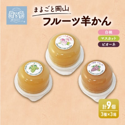 まるごと 岡山 フルーツ 羊羹 3 ケース [NO5765-0368]