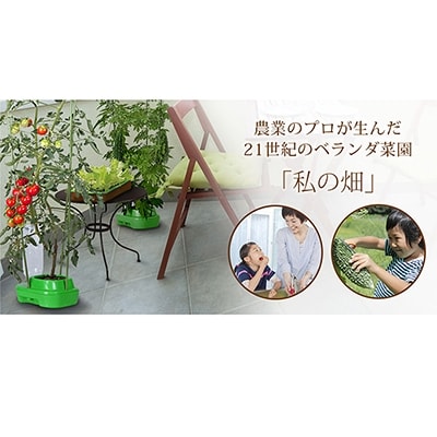 家庭菜園キット・私の畑(トレイタイプ:ブラウン)[NO5765-0272]