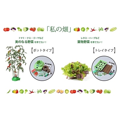 家庭菜園キット・私の畑(トレイタイプ:グリーン)[NO5765-0271]