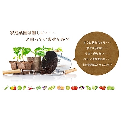 家庭菜園キット・私の畑(トレイタイプ:グリーン)[NO5765-0271]