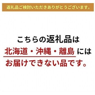 ニューピオーネ 2房 合計1.3kg以上 赤磐市産 2025年 先行受付[NO5765-0462]