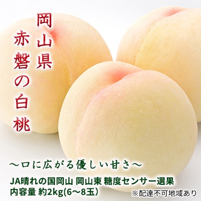 桃 赤磐の 白桃 約2.0kg 6～8玉 糖度センサー選果  2026年[NO5765-0474]