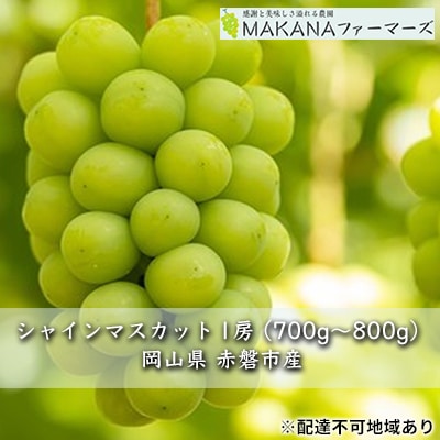 シャインマスカット 1房 700g～800g ぶどう 葡萄 2025年[NO5765-0523]