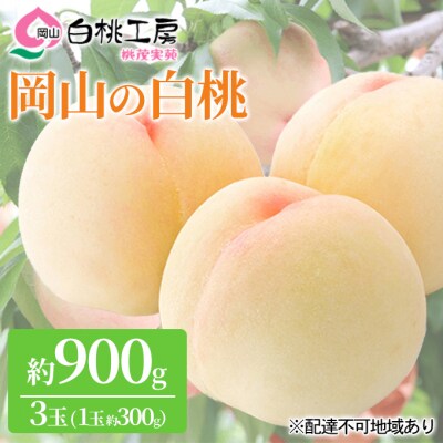 桃 白桃 3玉 約900g 1玉約300g もも フルーツ 2026年[NO5765-0526]