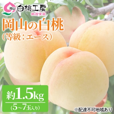 桃 白桃 等級 エース 約1.5kg 5～7玉入り もも 果物 2025年[NO5765-0525]