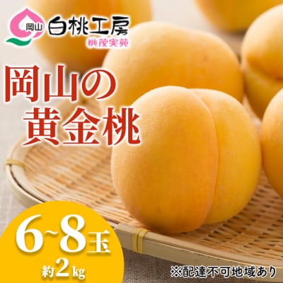 桃 黄金桃 2kg 6～8玉 もも フルーツ 果物 岡山 2026年[NO5765-0536]
