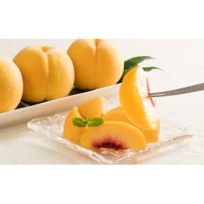 岡山県 果物 フルーツ 人気特産品おすすめランキング 週間 ふるさと納税サイト さとふる 岡山県 果物 フルーツ 人気特産品おすすめランキング 週間 ふるさと納税サイト さとふる