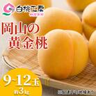 桃 黄金 桃 3kg 9～12玉 もも フルーツ 果物 岡山 2026年[NO5765-0537]