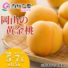 桃 黄金桃 等級 エース 約1.5kg 5～7玉入り もも 2026年[NO5765-0538]
