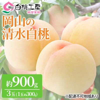 桃 清水 白桃 3玉 約900g 1玉約300g もも 2025年[NO5765-0539]