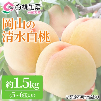桃 清水 白桃 1.5kg 5～6玉 もも フルーツ 果物 2025年[NO5765-0540]