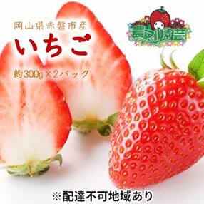 岡山県 いちごのお礼品 返礼品一覧 ふるさと納税サイト さとふる