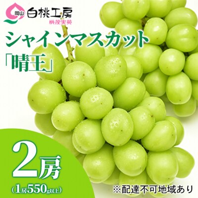 シャインマスカット 晴王  2房 1房550g以上 ぶどう 2026年[NO5765-0532]