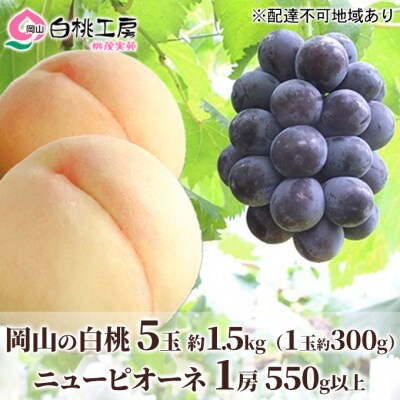 白桃 5玉 約1.5kg ニュー ピオーネ 1房  550g 2026年[NO5765-0530]