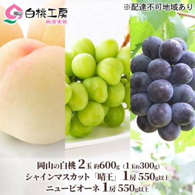 白桃 2玉 シャインマスカット 1房 ニュー ピオーネ 1房 2026年[NO5765-0531]
