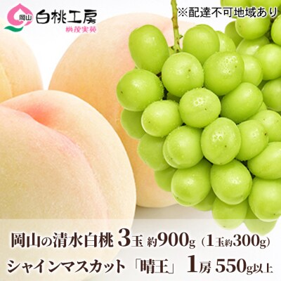 桃 清水 白桃 3玉 シャインマスカット 晴王 1房 2026年[NO5765-0544]