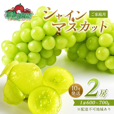 シャインマスカット 2房 1房600g～700g 10月発送分 2026年[NO5765-0548]