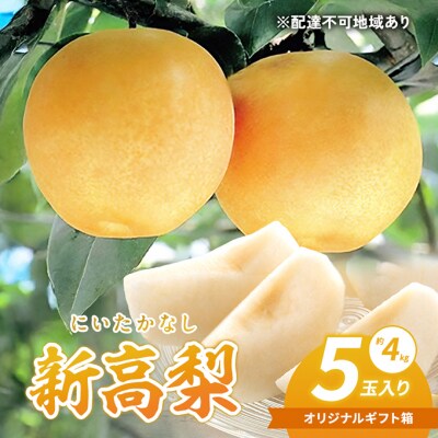 新高梨(にいたかなし) 2025年 5玉入り(約4kg)赤磐市産[NO5765-0167]