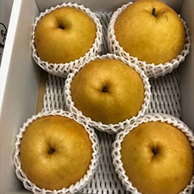 新高梨(にいたかなし)オリジナルギフト箱 5玉入り(約4kg)赤磐市赤坂産[NO5765-0167]