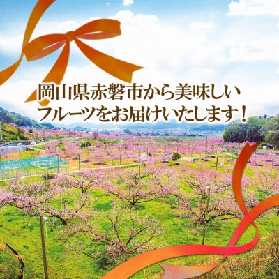 新高梨(にいたかなし) 2025年 5玉入り(約4kg)赤磐市産[NO5765-0167]