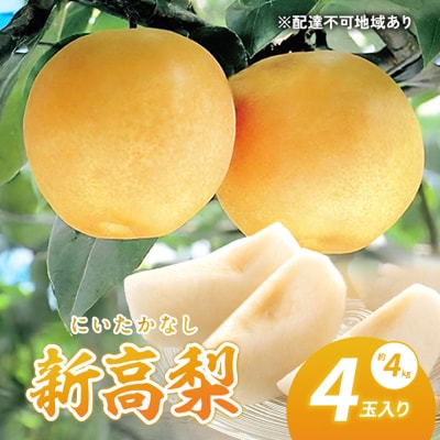 新高梨 (にいたかなし) 2025年 4玉入り(約4kg) 赤磐市赤坂産[NO5765-0168]