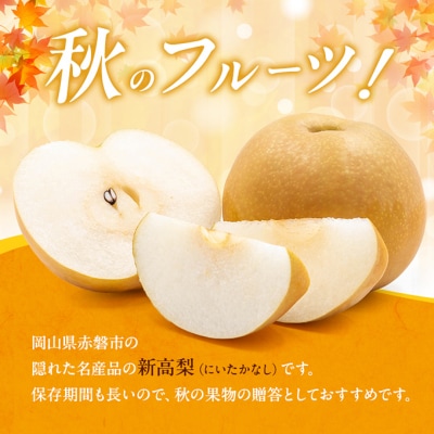 新高梨 (にいたかなし) 2025年 4玉入り(約4kg) 赤磐市赤坂産[NO5765-0168]