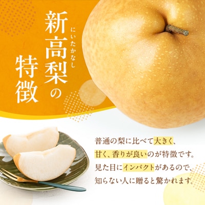 新高梨 (にいたかなし) 2025年 4玉入り(約4kg) 赤磐市赤坂産[NO5765-0168]