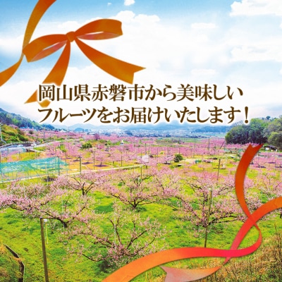 新高梨 (にいたかなし) 2025年 4玉入り(約4kg) 赤磐市赤坂産[NO5765-0168]