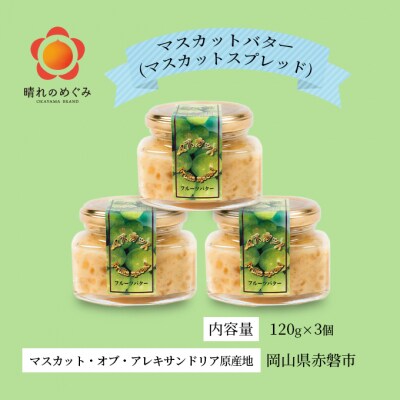 マスカット バター ( マスカット スプレッド )120g×3個 乳製品 [NO5765-0662]