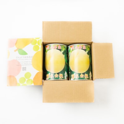 清水白桃 シラップ漬け 缶詰め 425g×2缶 岡山県 赤磐市産 加工食品[NO5765-0663]