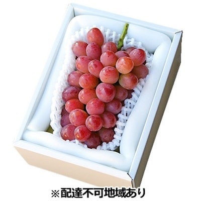 �Ԃǂ� ������t ���� (������)1�[(500g�ȏ�) �u�h�E ���� [NO5765-0547]